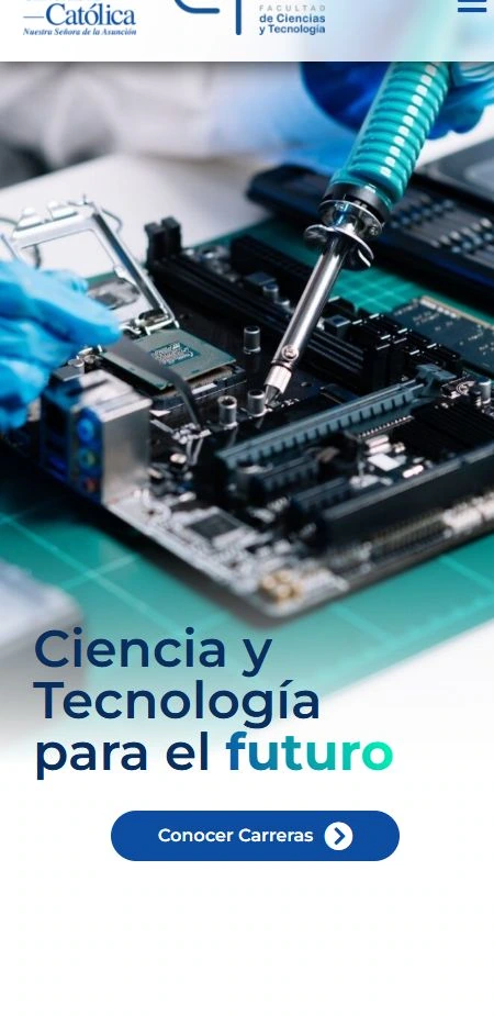 Vista del sitio web en móvil